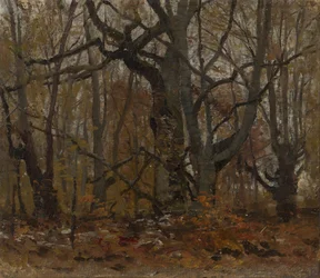 Bosque de otoño